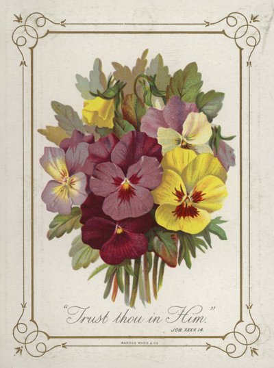 Mazzo di fiori da English School